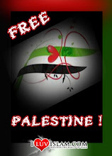 Save Palestin