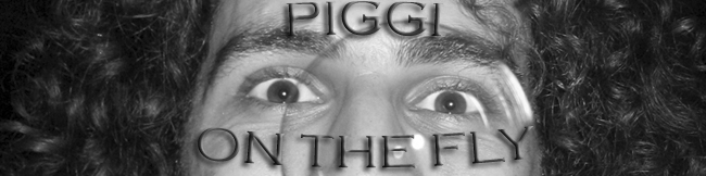 Piggi on the fly
