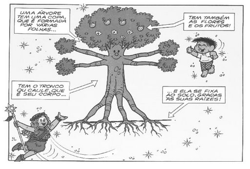 [PARTES+DA+%C3%81RVORE.JPG]