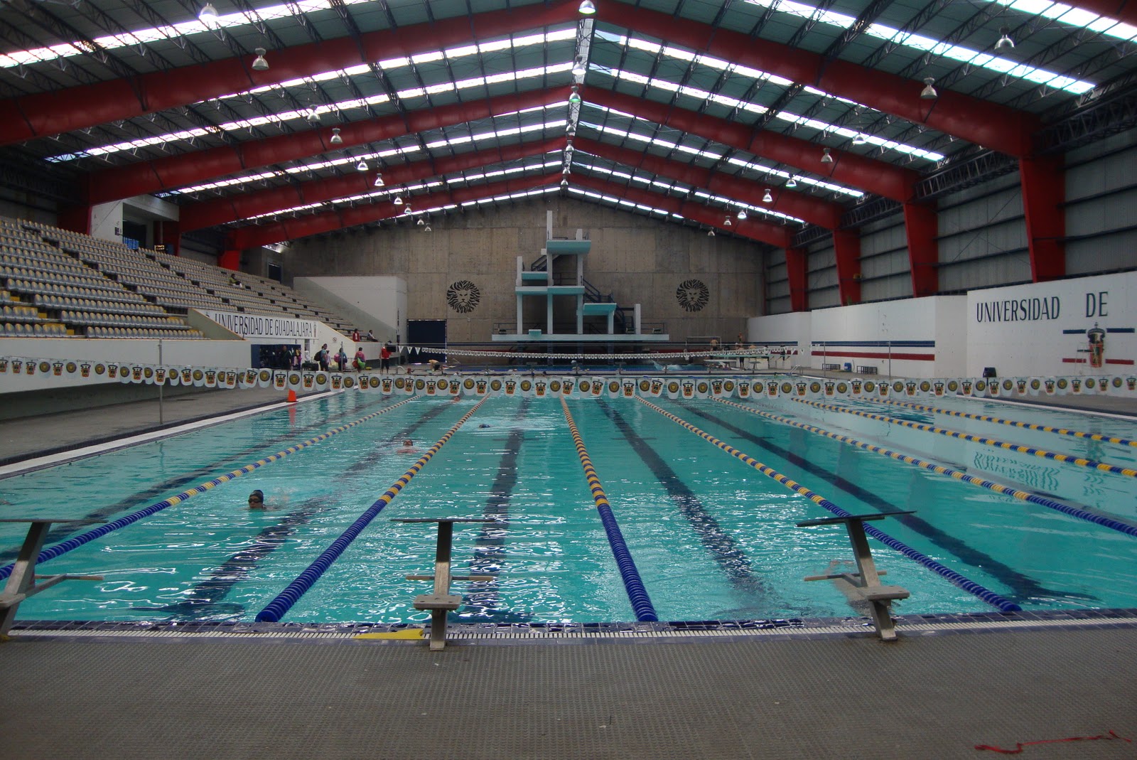 Alto Rendimiento NATACIÓN DENTRO DE LA