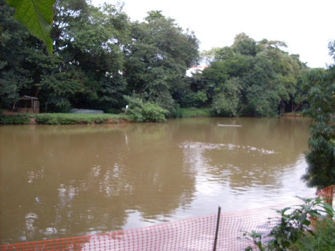 PARQUE DOS REMEDIOS.