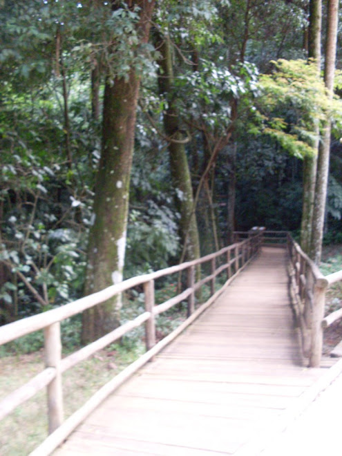 com um curto acesso e bem facil para caminhar