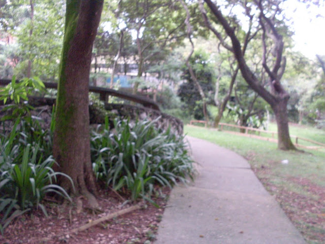 um bom lugar para fazer caminhada.