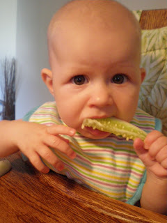 Introduce baby to cucumber