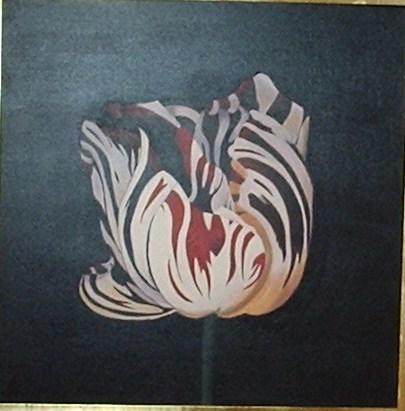 Tulipan 0.60 x 0.60