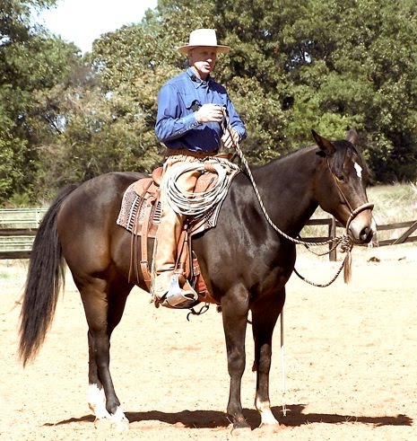 Steel Prize Stables for Dressage: Buck Brannaman Clinic at SPS