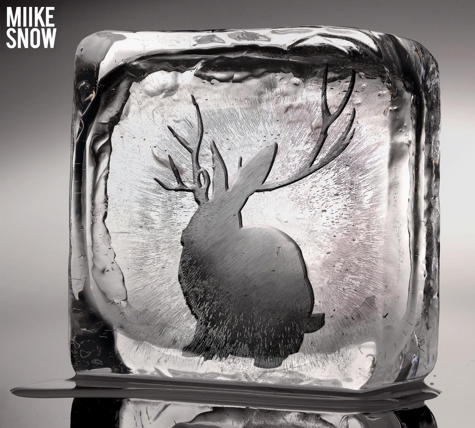 [miikesnowcover.jpg]