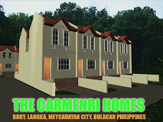 THE CARMENRI HOMES