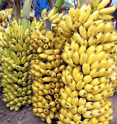 http://4.bp.blogspot.com/_DtTZ6HvuN9Y/S_QFYt9L1yI/AAAAAAAAAaA/7U2bqNVr4Qc/s1600/bananas.jpg
