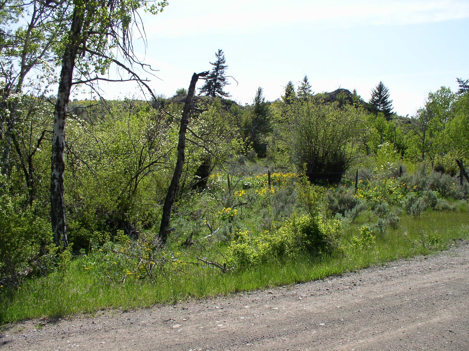 [road+essay+004.JPG]