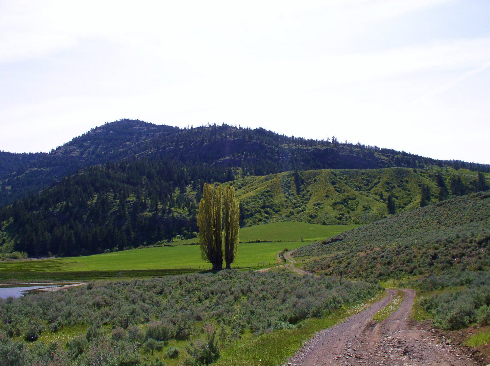 [road+essay+019.JPG]