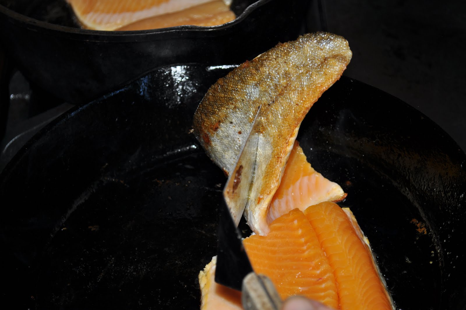 Michigan Cottage Cook LAKE MICHIGAN LAKE TROUT WITH WANDA'S LAKE