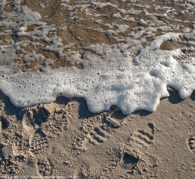 [water-shore-beach-bubbles.jpg]