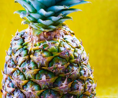 [pineapple-1.jpg]