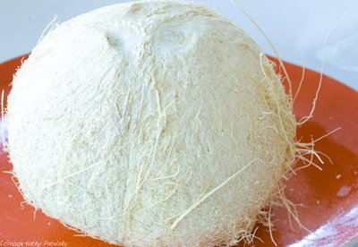 [white-coconut-4004.jpg]