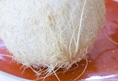[white-coconut-40010.jpg]