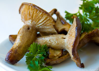 [bluefoot-mushroom-13-400.jpg]