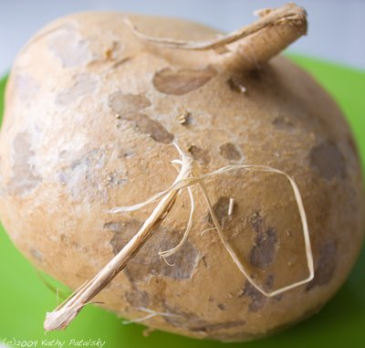 [jicama-400-2.jpg]