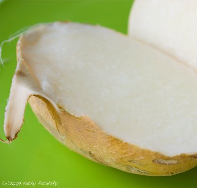 [jicama-400-6.jpg]