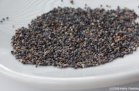 [poppyseed-lemon-bread-2200.jpg]