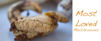 [most-loved-mushrooms-400.jpg]