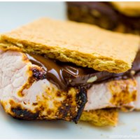 [vegan-campfire-smores-200-1.jpg]