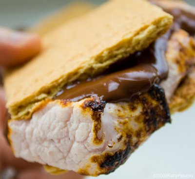 [vegan-campfire-smores-400-10.jpg]
