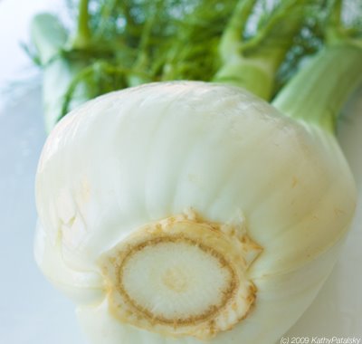 [fennel-400-4.jpg]