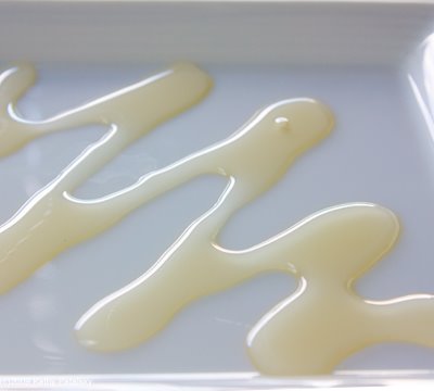 [agave-syrup-101-400-1.jpg]