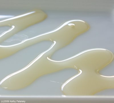 [agave-syrup-101-400-2.jpg]