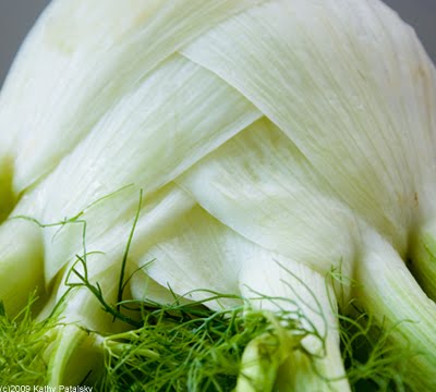 [big-fennel-3.jpg]