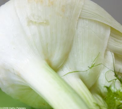 [big-fennel-6.jpg]