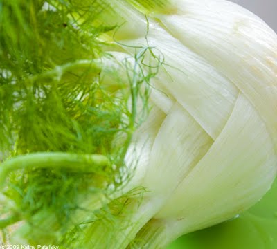 [big-fennel-1.jpg]