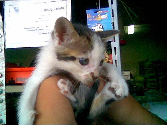 [16-23Julho2008013.jpg]