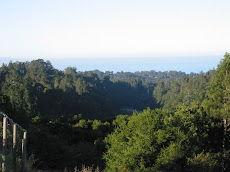 Peter Thibodeau, DC, DACAN, CCWP