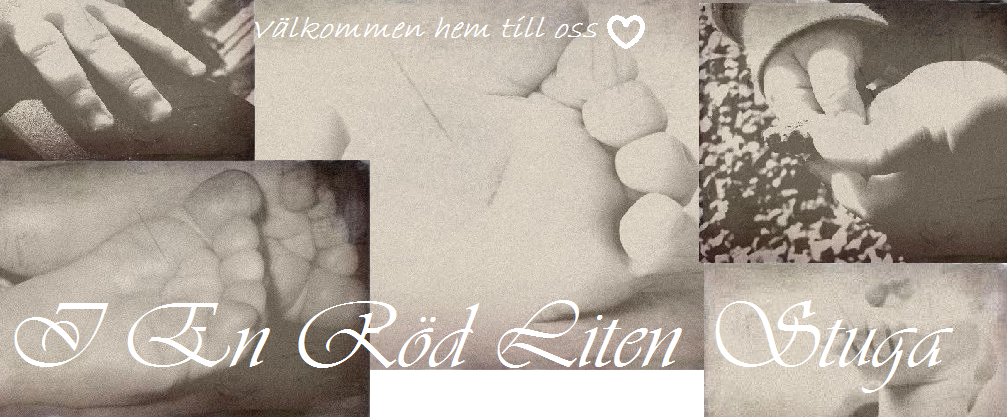 Testblogg för stugan