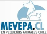 Sociedad de médicos veterinarios especialistas en pequeños animalesChile