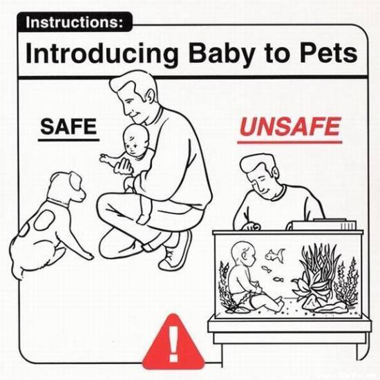 [Introducing+baby+to+pets+wallpapers.jpg]