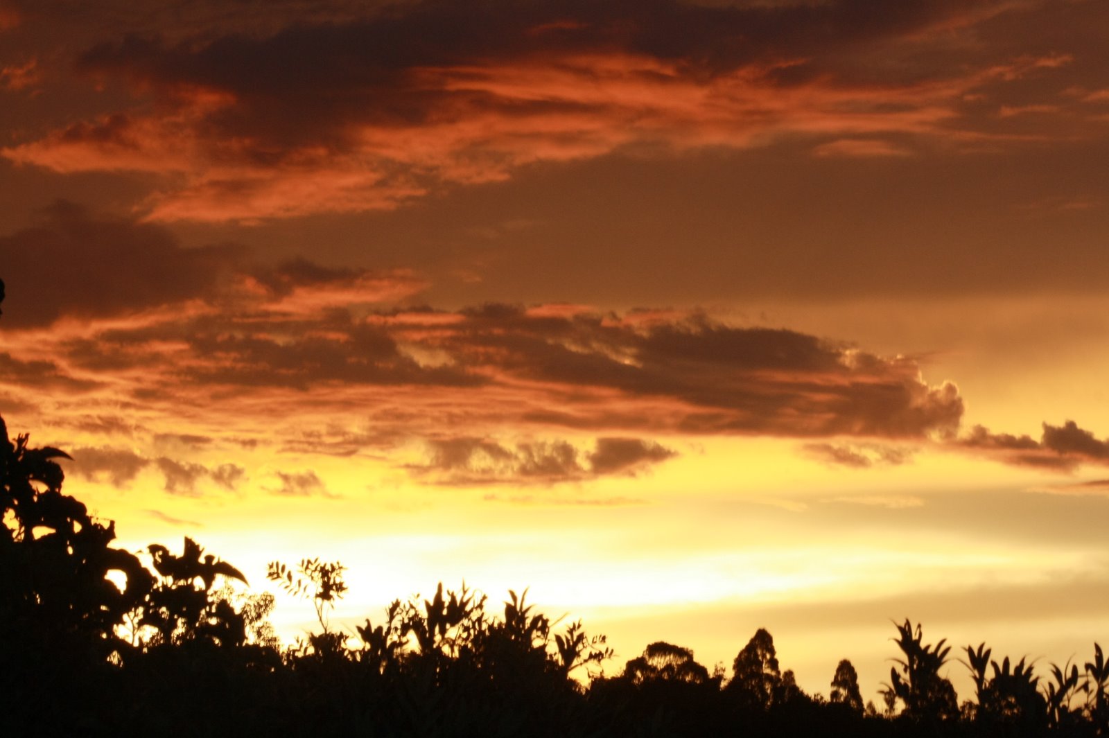 [_2009_03_07_0074.JPG]
