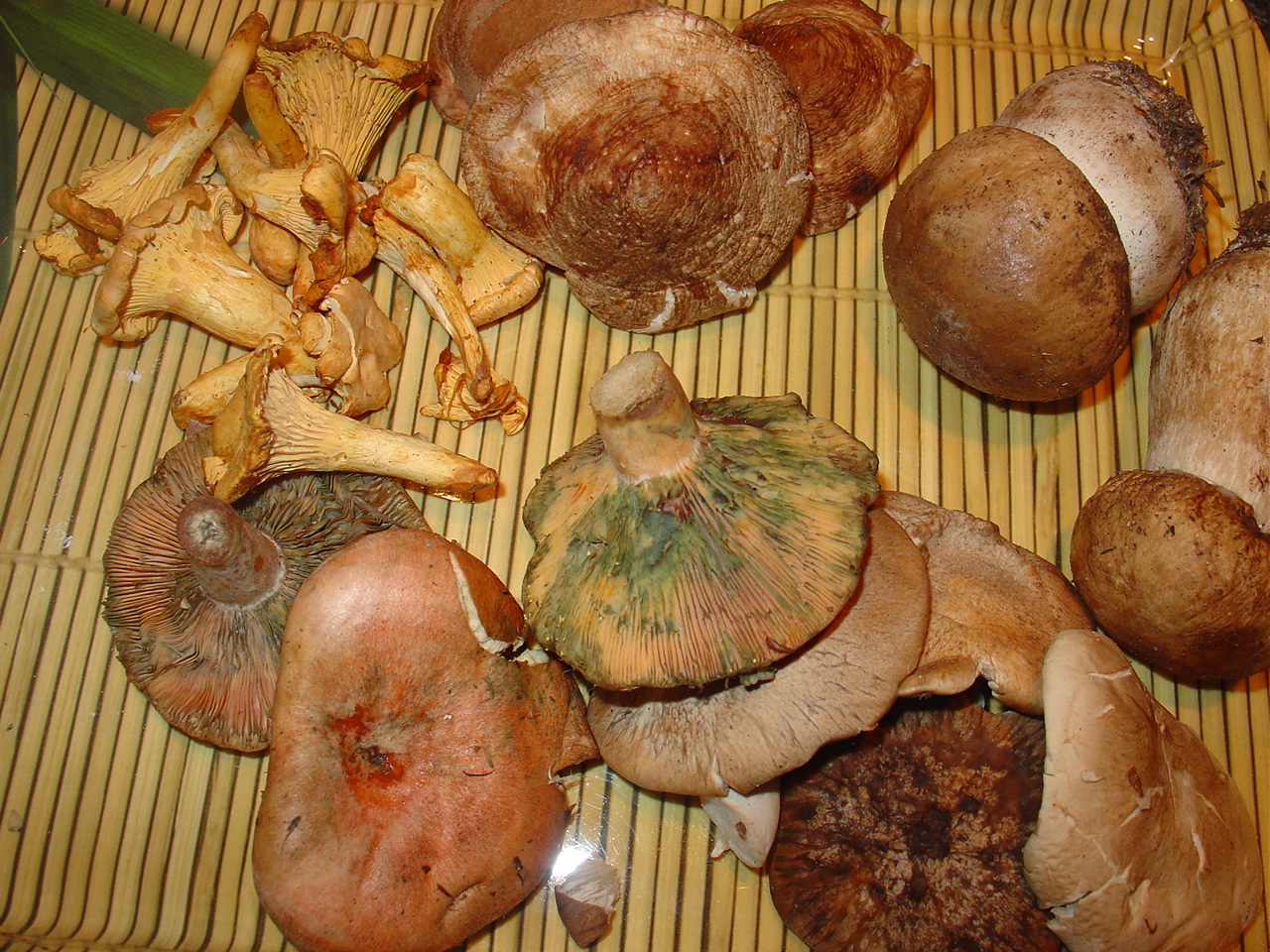 [recetas+168.jpg]