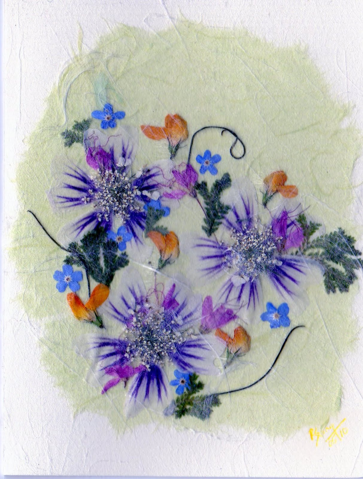 Ruth Song Pressed Flower Cards enhenced with tissue and paper punch
