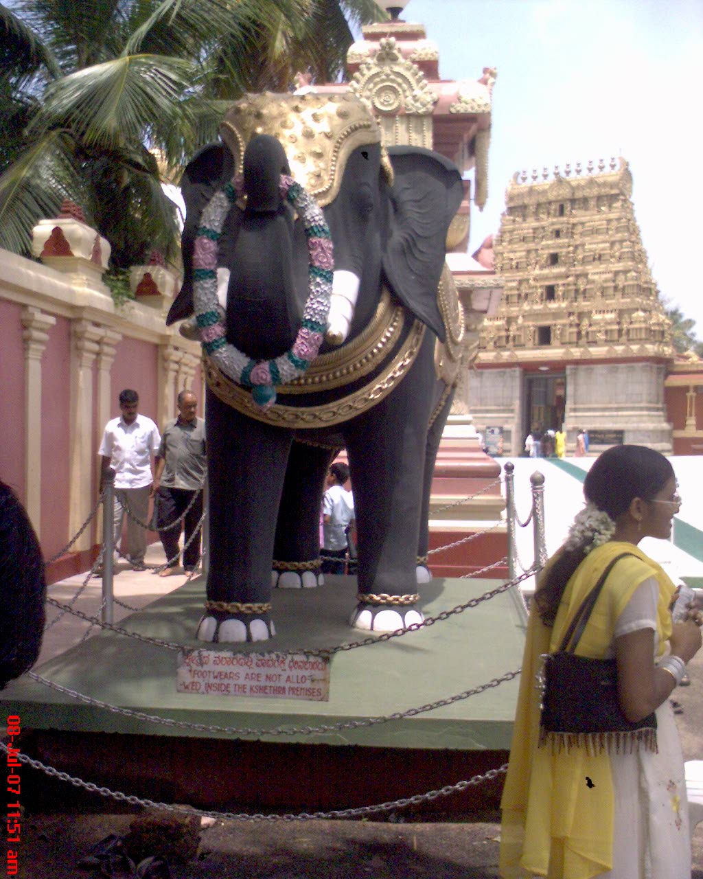 [DSC00602.JPG]