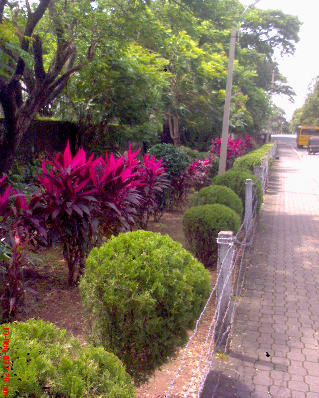 [DSC00042.JPG]