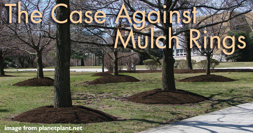 The Case Against Mulch Rings, Mulch Around Trees Ideas