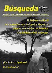 Revista No. 13