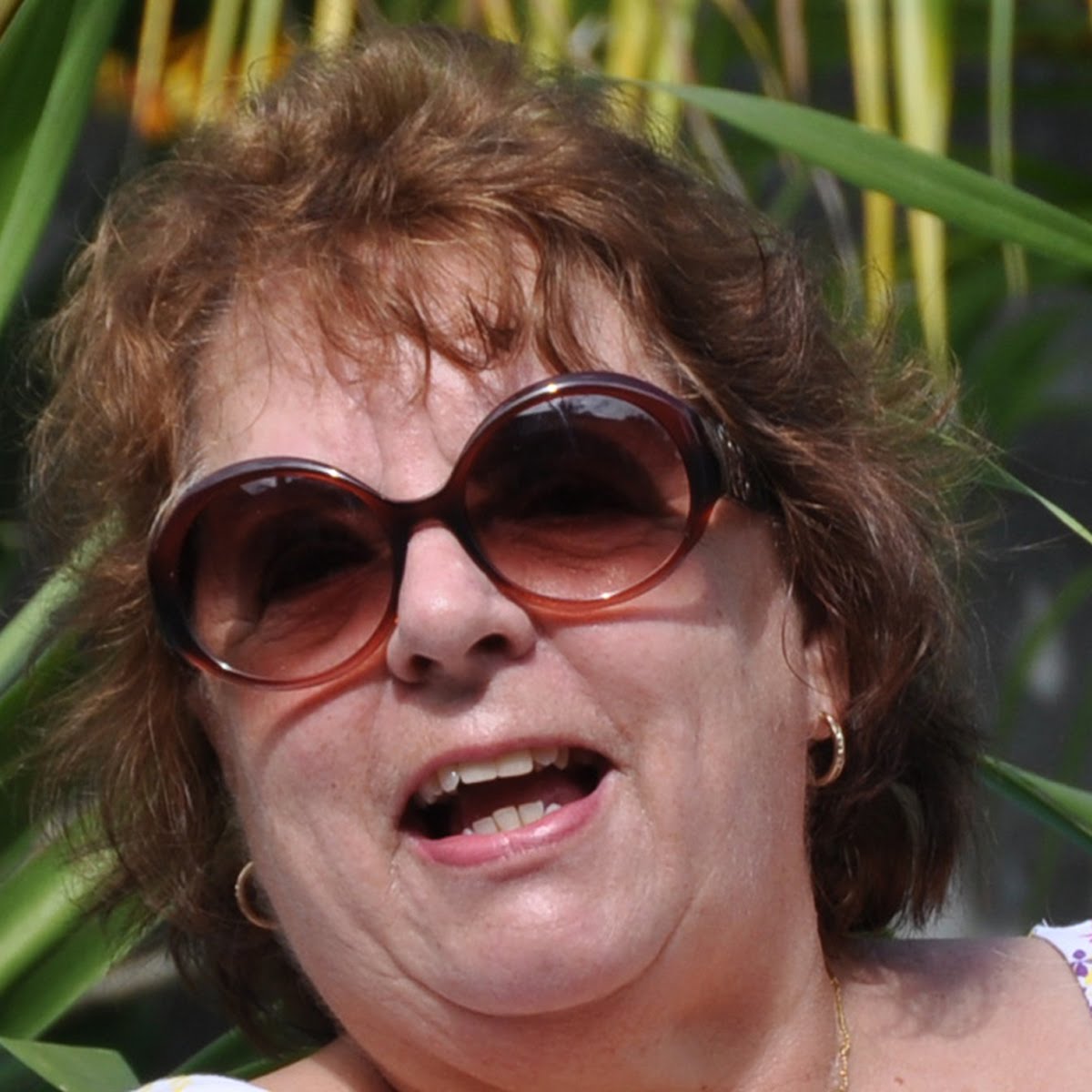 A Crafty Bird in Paradise