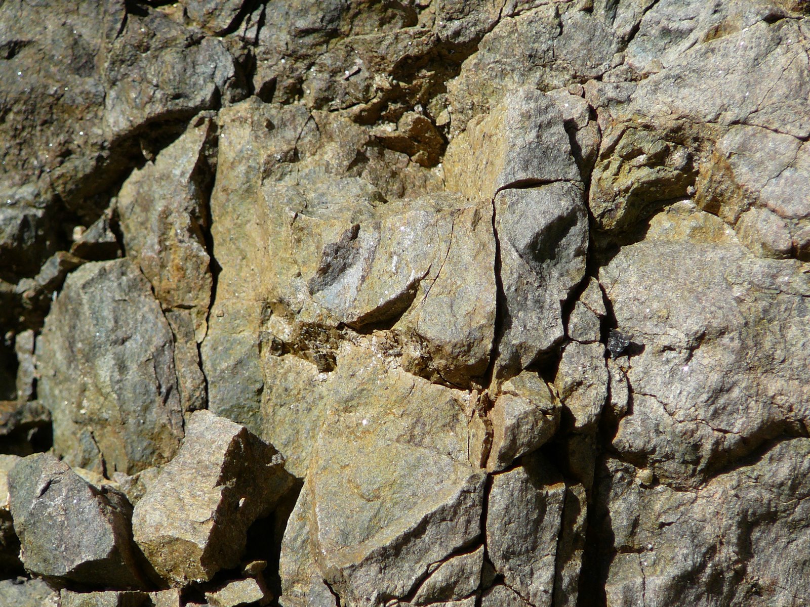 [P1020525.JPG]