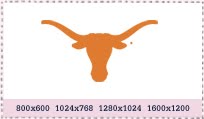 [vsuntxlogo.jpg]