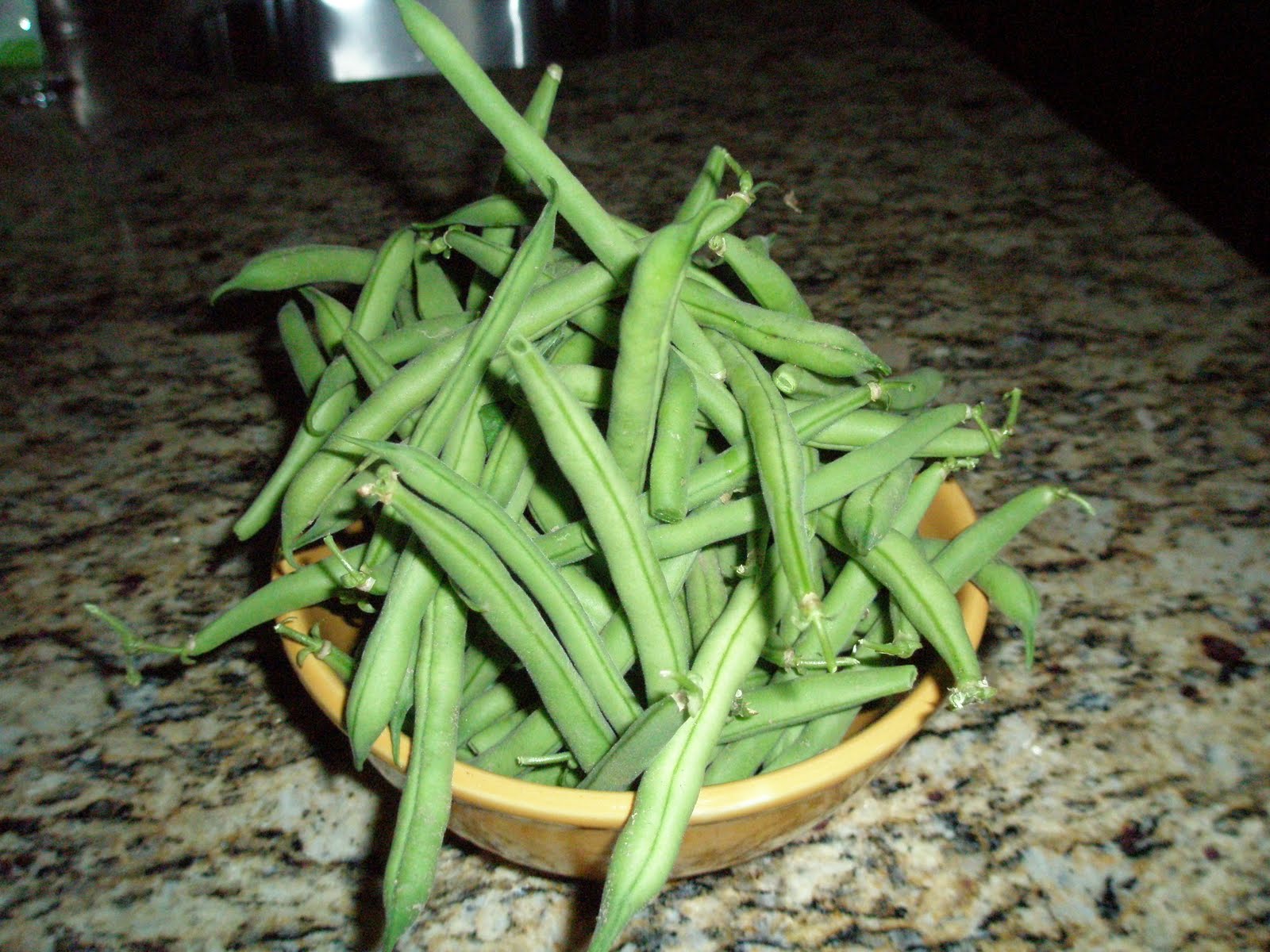 The Garden Plot Peas and Beans are ready for harvest.