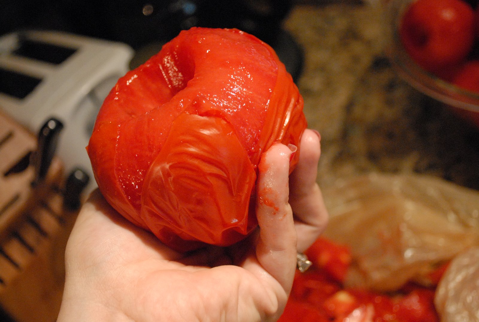 [tomatoes+010.JPG]